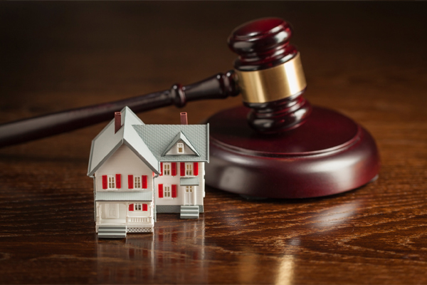 Real Estate & Property Law
