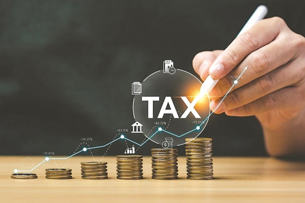 Taxation & Finance Law